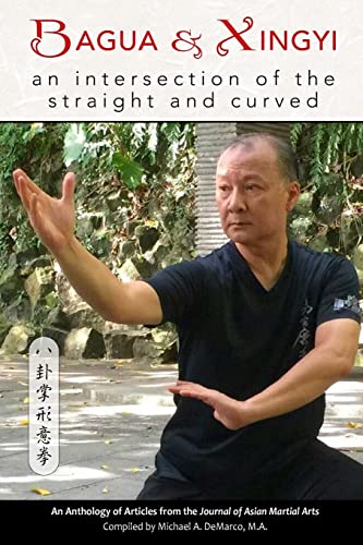 9781893765337: Bagua and Xingyi: An Intersection of the Straight and Curved