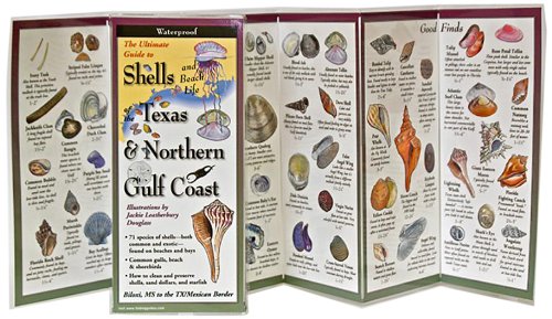 Beispielbild fr The Ultimate Guide to Shells of the Texas & Northern Gulf Coast (Foldingguides) zum Verkauf von HPB-Emerald