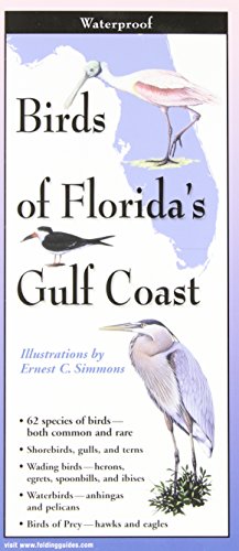 Imagen de archivo de Birds of Florida's Gulf Coast: Folding Guide (Foldingguides) a la venta por SecondSale