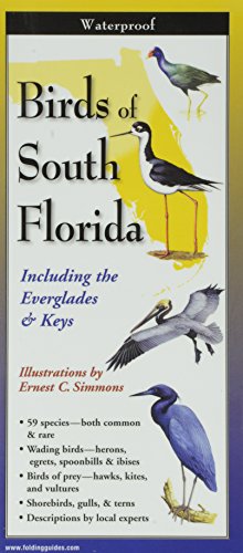 Beispielbild fr Birds of South Florida: Folding Guide (Foldingguides) zum Verkauf von Save With Sam