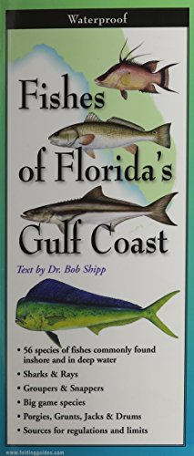 Beispielbild fr Fishes of the Florida's Gulf Coast zum Verkauf von Save With Sam