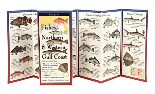 Beispielbild fr Fishes of the Northern and Western Gulf Coast zum Verkauf von Better World Books
