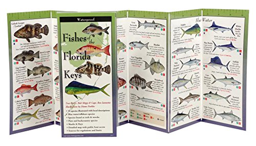 Beispielbild fr Fishes of the Florida Keys: Folding Guide (Foldingguides) zum Verkauf von Save With Sam