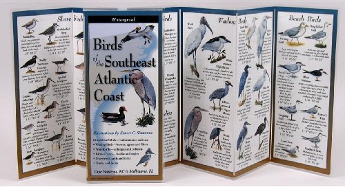 9781893770379: Birds of the Southeast Atlantic Coast: Folding Guide