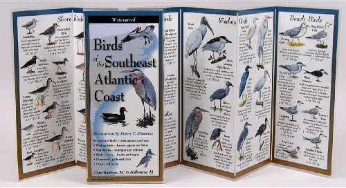 Stock image for Birds of the Southeast Atlantic Coast (Foldingguides) for sale by Half Price Books Inc.