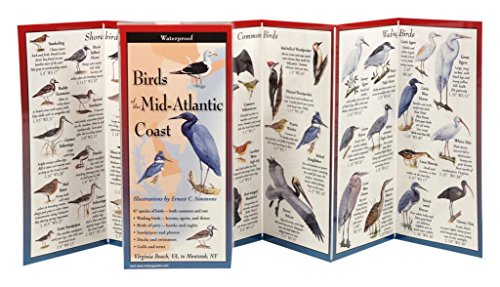 Beispielbild fr Birds of the Mid-Atlantic Coast: Folding Guide (Foldingguides) zum Verkauf von Save With Sam