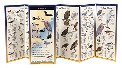9781893770546: Birds of the New England Coast: Folding Guide