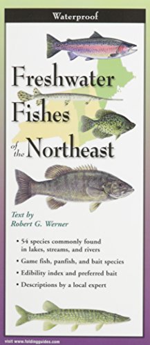 Beispielbild fr Freshwater Fishes of New England & Adirondacks: Folding Guide (Foldingguides) zum Verkauf von Lakeside Books