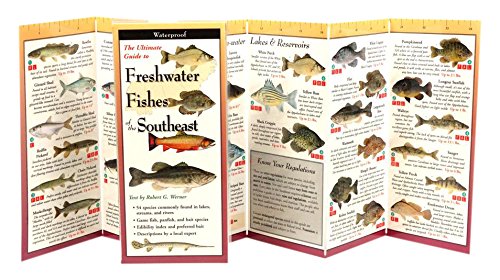 Beispielbild fr Freshwater Fishes of the Southeast: Folding Guide (Foldingguides) zum Verkauf von Lakeside Books