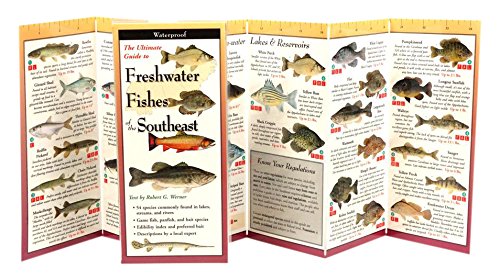 9781893770775: Freshwater Fishes of the Southeast (Foldingguides)