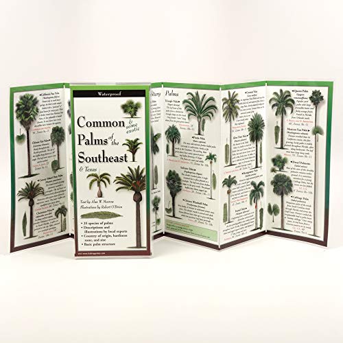 9781893770874: Common Palms of the Southeast & Texas (Foldingguides)