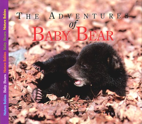 Imagen de archivo de The Adventures of Baby Bear (Nature Babies) a la venta por Once Upon A Time Books