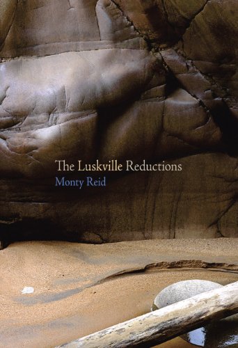 Stock image for The Luskville Reductions for sale by HPB-Ruby