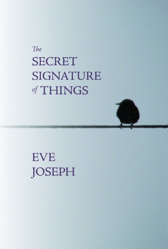 Stock image for The Secret Signature of Things for sale by Book House in Dinkytown, IOBA