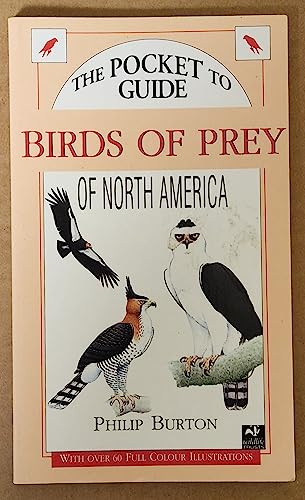 Imagen de archivo de The Pocket Guide to Birds of Prey of North America a la venta por Nealsbooks