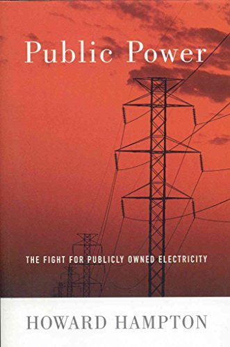 Beispielbild fr Public Power: The Fight for Publicly Owned Electricity zum Verkauf von Alexander Books (ABAC/ILAB)