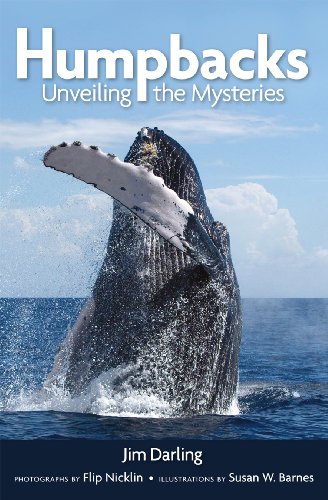 Stock image for Humpbacks - Unveiling the Mysteries for sale by ThriftBooks-Dallas