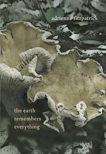 Beispielbild fr The Earth Remembers Everything zum Verkauf von Blackwell's