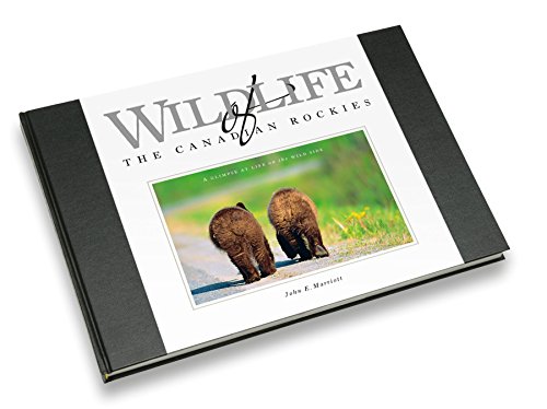 9781894768023: Wildlife of the Canadian Rockies: A Glimpse at Life on the Wild Side