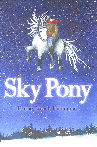 Stock image for Sky Pony for sale by Revaluation Books