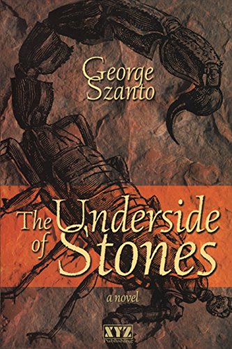 Stock image for The Underside of Stones: A Novel for sale by Hourglass Books