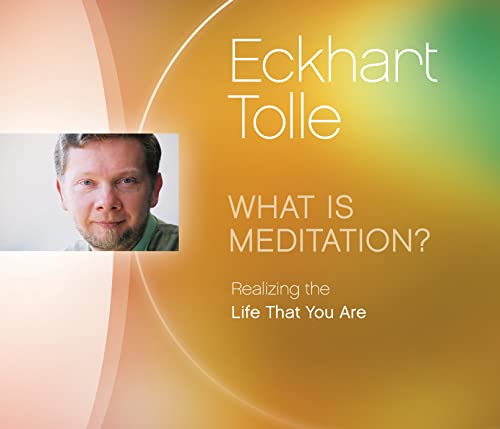 9781894884822: What is Meditation?: Realizing the Life That You Are