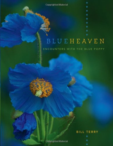 Stock image for Blue Heaven: Encounters with the Blue Poppy for sale by Jay's Basement Books