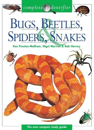 Stock image for Bugs, Beetles, Spiders & Snakes for sale by Irish Booksellers