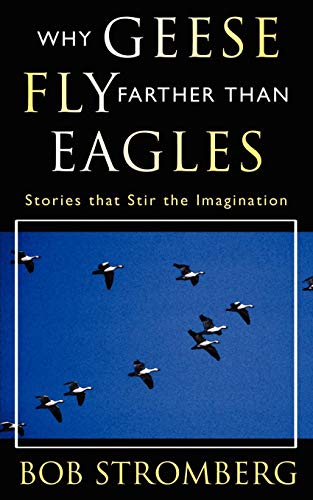 Beispielbild fr Why Geese Fly Farther Than Eagles zum Verkauf von Better World Books