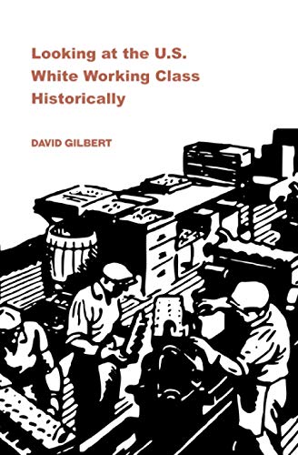 9781894946919: Looking at the U. S. White Working Class Historically