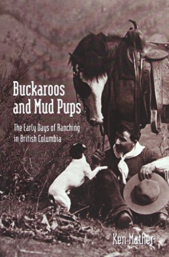 Stock image for Buckaroos and Mud Pups: The Early Days of Ranching in British Columbia for sale by Antiquarius Booksellers