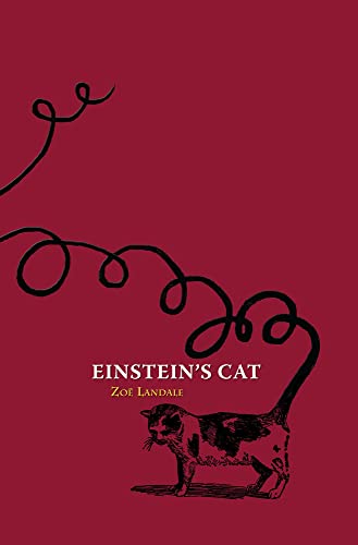 Stock image for Einstein's Cat for sale by Russell Books