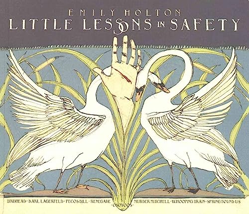Stock image for Little Lessons in Safety for sale by Better World Books