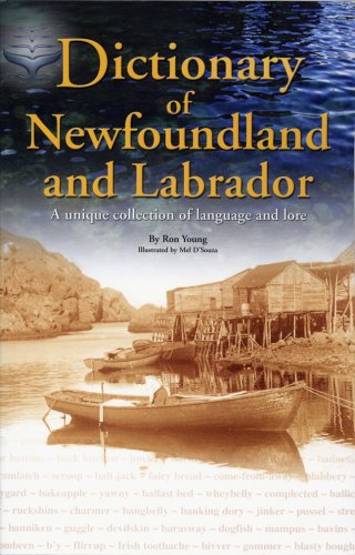 Stock image for Dictionary Of Newfoundland and Labrador for sale by Your Online Bookstore