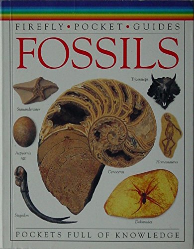 Imagen de archivo de Fossils a la venta por ThriftBooks-Atlanta