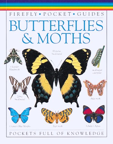 9781895565911: Butterflies & Moths