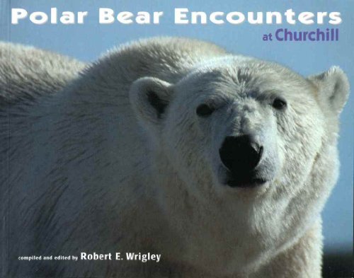 Stock image for Polar Bear Encounters at Churchill for sale by HPB Inc.