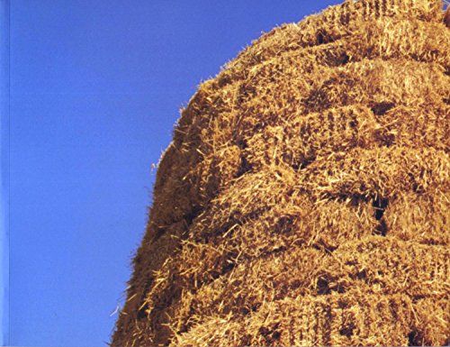 Jerry Pethick Straw Tower (9781895800647) by Patten, James