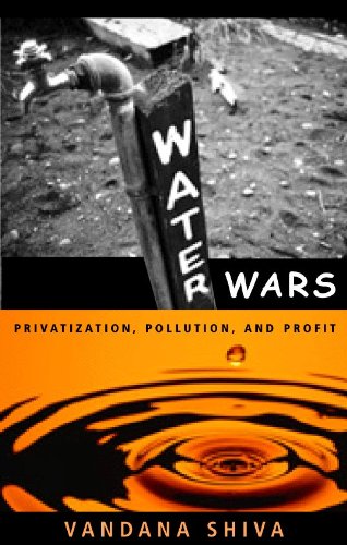 Beispielbild fr Water Wars : Privatization, Pollution, and Profit zum Verkauf von Better World Books