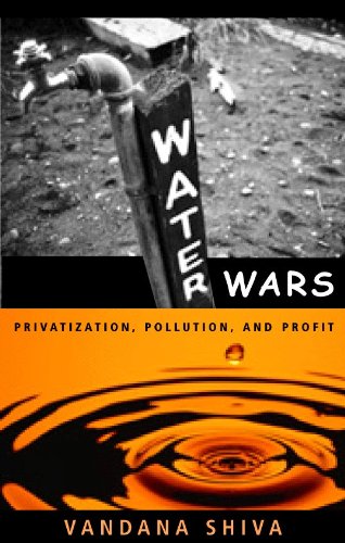 Stock image for Water Wars: Privatization, Pollution, and Profit for sale by Irish Booksellers