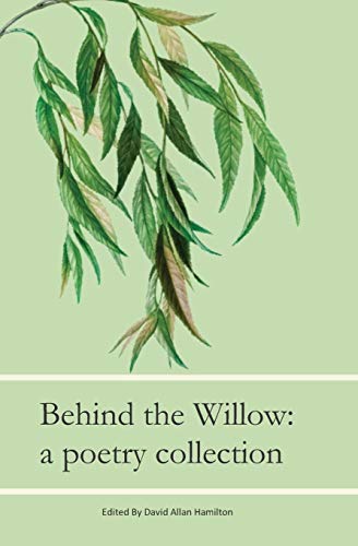 Beispielbild fr Beyond The Willow: A Poetry Collection zum Verkauf von Lucky's Textbooks