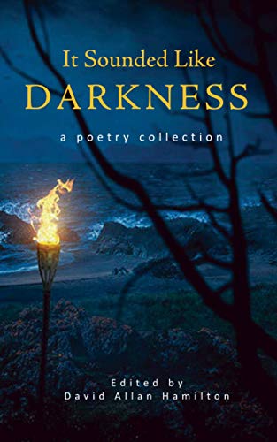 Imagen de archivo de It Sounded Like Darkness: a poetry collection a la venta por Ergodebooks