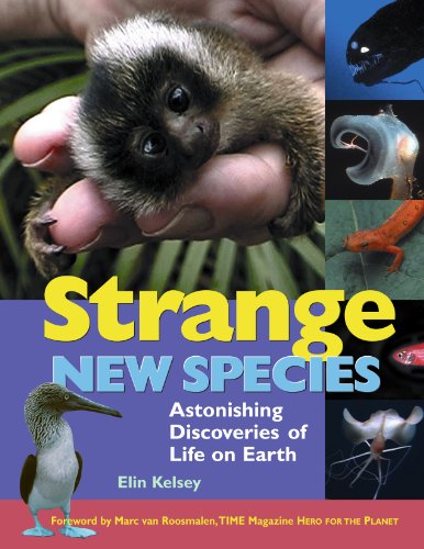 Stock image for Strange New Species : Astonishing Discoveries of Life on Earth for sale by Better World Books