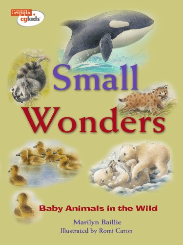 Imagen de archivo de Small Wonders : Baby Animals in the Wild a la venta por Better World Books: West