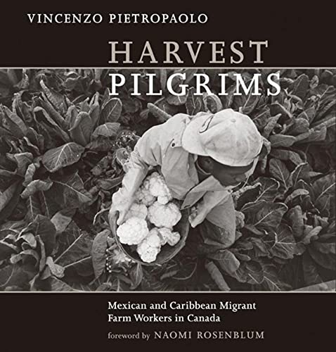 Imagen de archivo de Harvest Pilgrims: Mexican and Caribbean Migrant Farm Workers in Canada a la venta por HPB Inc.