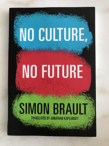 Stock image for No Culture No Future for sale by WorldofBooks