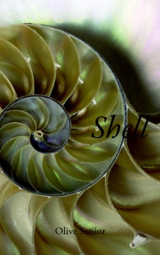 Stock image for Shell for sale by Better World Books