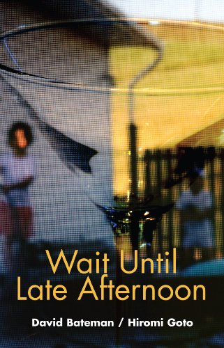 Stock image for Wait until Late Afternoon, or Distilled, Decanted and Debauched : A Collaborative Long Poem for sale by Better World Books: West