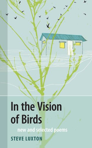 Stock image for In the Vision of Birds for sale by ThriftBooks-Atlanta