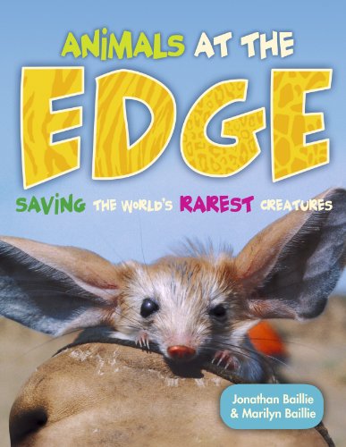 Imagen de archivo de Animals at the EDGE: Saving the World's Rarest Creatures a la venta por Ergodebooks